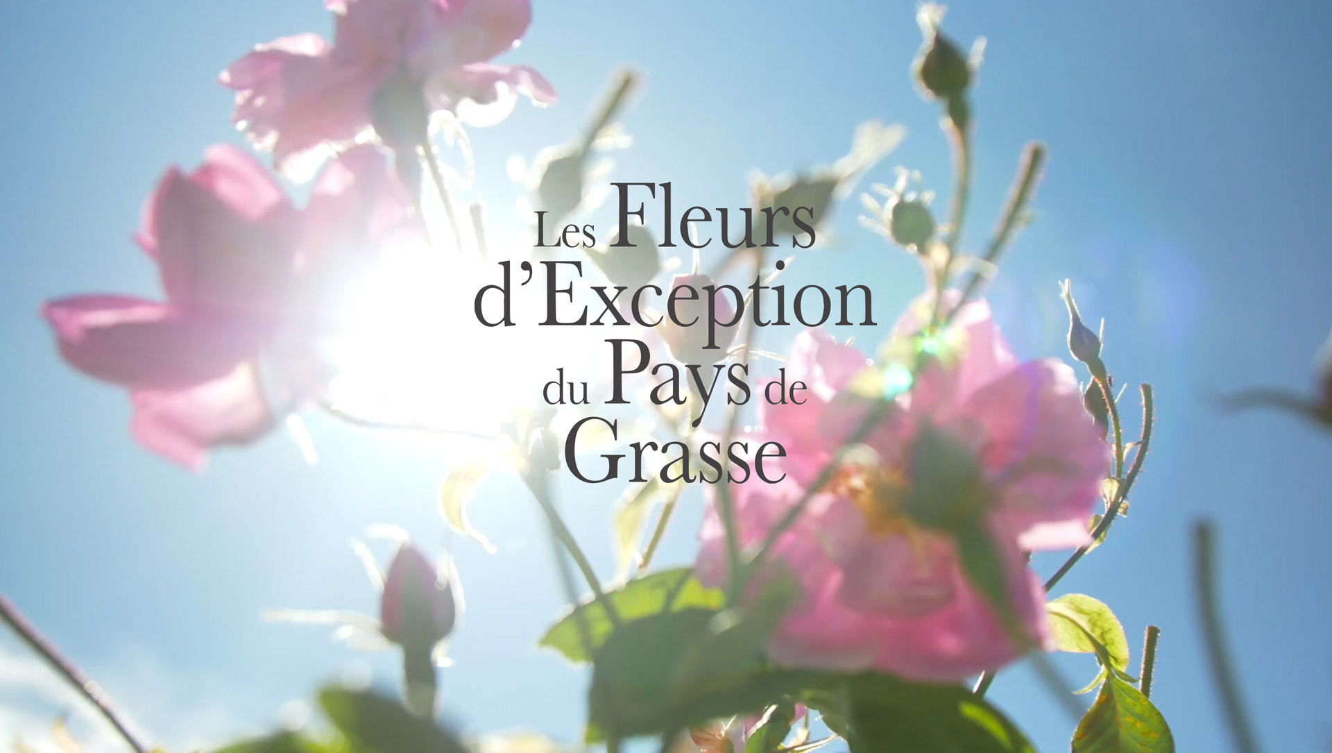 Les Fleurs d'Exception du Pays de Grasse logo